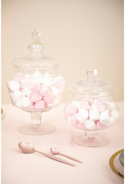 Стъклена кутия за бисквити Olivia – Premier Housewares