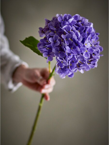 Изкуствено цвете (височина 73,5 cm) Hydrangea – Bloomingville