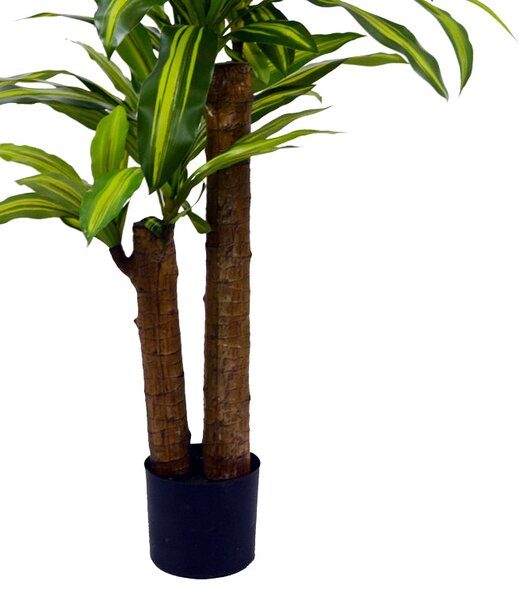 Декоративно растение драцена в саксия green pp h110cm