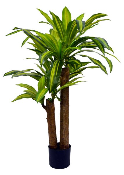 Декоративно растение драцена в саксия green pp h110cm