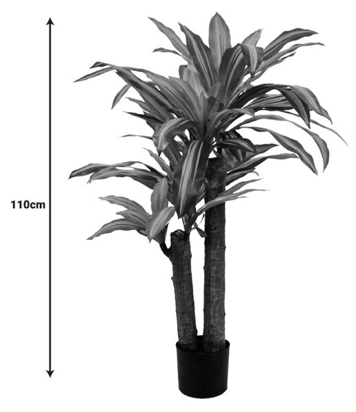 Декоративно растение драцена в саксия green pp h110cm