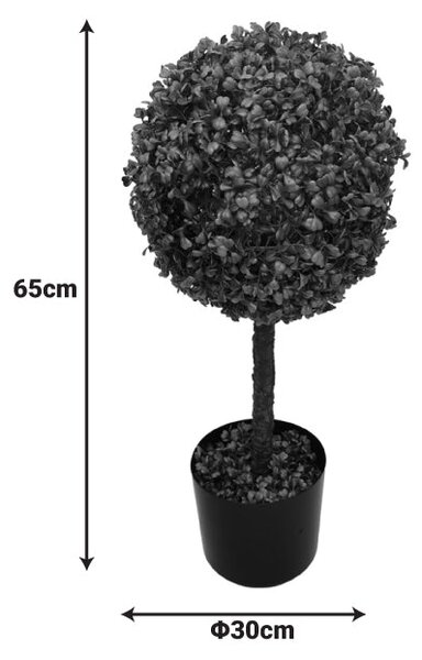 Декоративно растение Bolla в саксия pp φ30x65cm