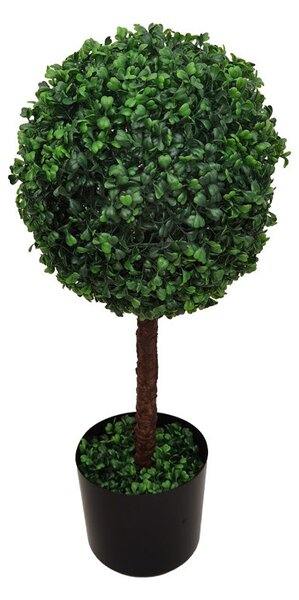 Декоративно растение Bolla в саксия pp φ30x65cm