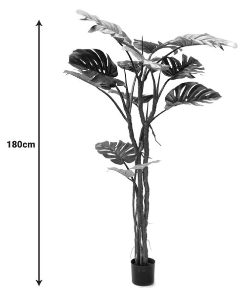Декоративно саксийно растение Monstera pp h180cm
