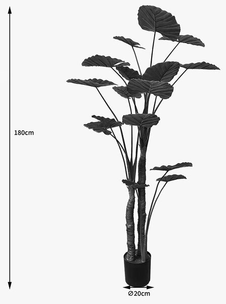 Декоративно растение в саксия Taro зелено d90x180см
