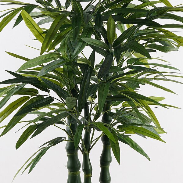 Декоративно растение в саксия Arti bamboo зелено d70x150см
