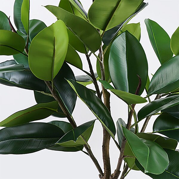 Декоративно растение в саксия ficus зелено d70x130см