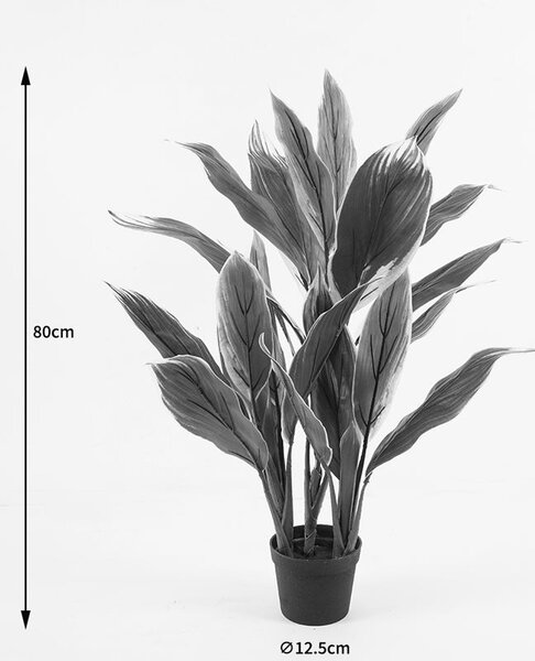 Декоративно растение в саксия Cycas зелено d55x80см