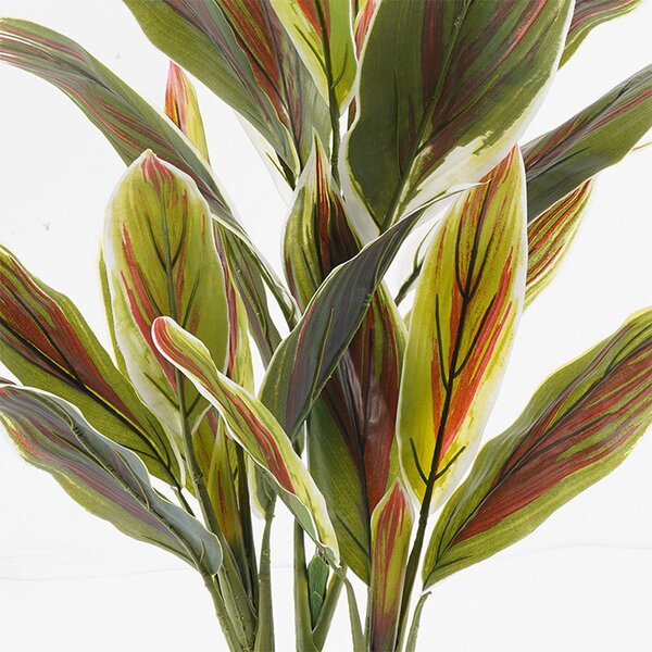 Декоративно растение в саксия Cycas зелено d55x80см