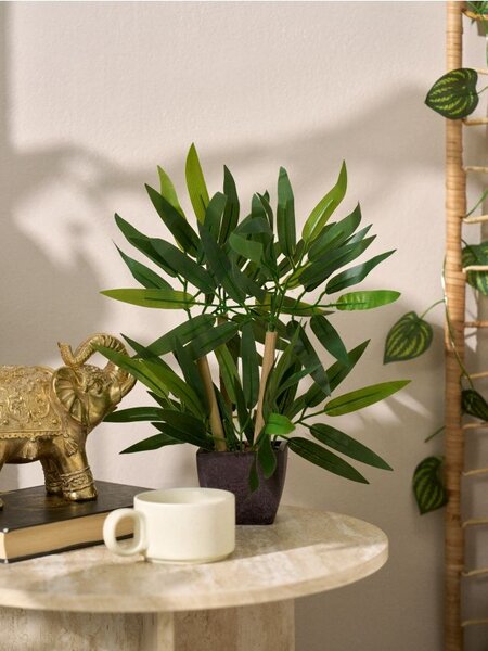 Sinsay - Pianta decorativa in vaso - зeлeн