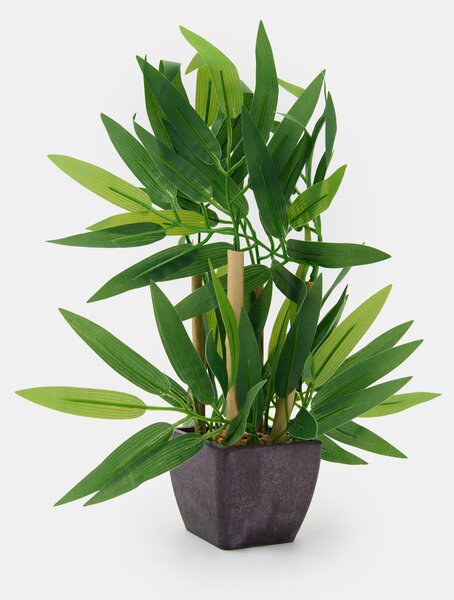 Sinsay - Pianta decorativa in vaso - зeлeн