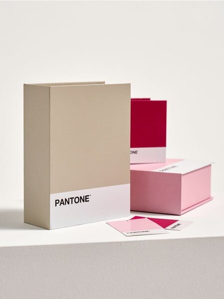 Sinsay - Кутия за съхранение Pantone - бежово