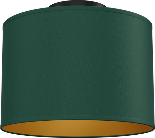 Таванно осветително тяло ARDEN 1xE27/15W/230V Ø 25 см зелено