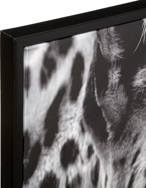 Картина atmosphera Leopard, 58x58 cm