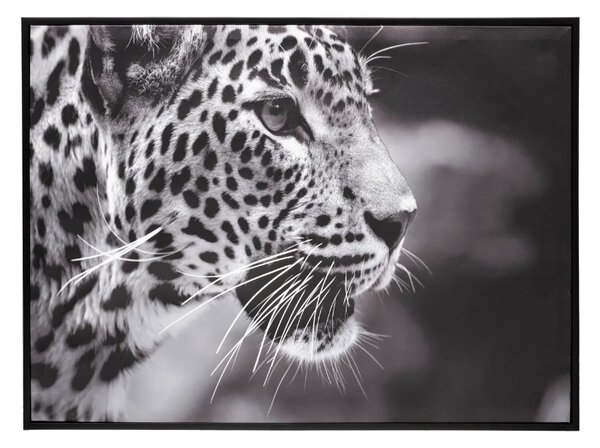 Картина atmosphera Leopard, 58x58 cm