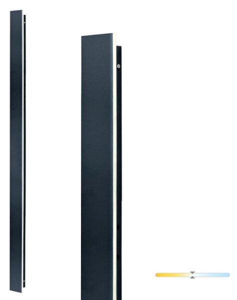 LED външна стенна лампа MIRANA LED/25W/230V 4000K IP44 120 cm черна