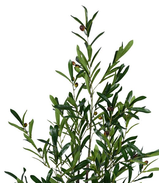 Декоративно растение маслиново дръвче в саксия green pp h120cm