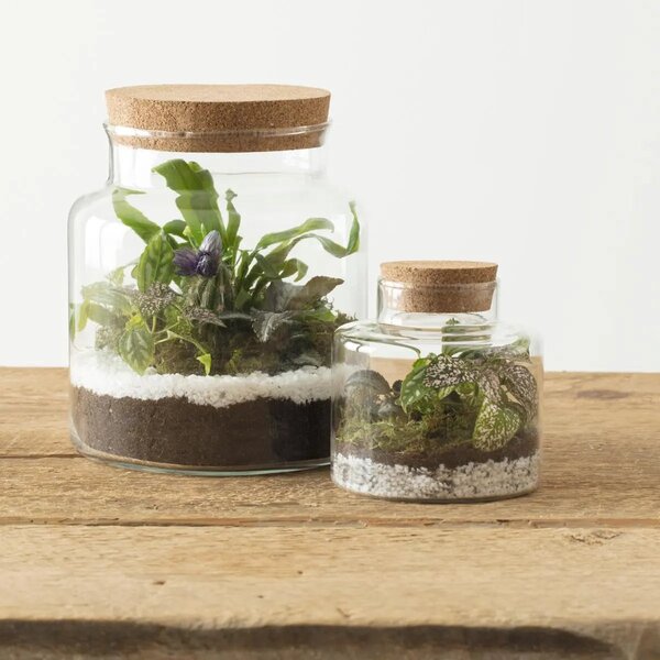 Ваза atmosphera Terrarium, Стъкло, 21.5 cm