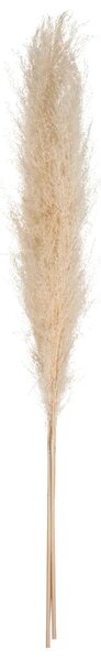 Изкуствено растение atmosphera Natural Pampa, 110см, 3бр, Бежов