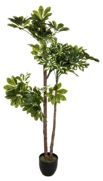 Изкуствено растение atmosphera Schefflera, 130 см