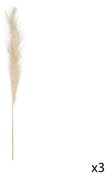 Изкуствено растение atmosphera Natural Pampa, 110см, 3бр, Бежов