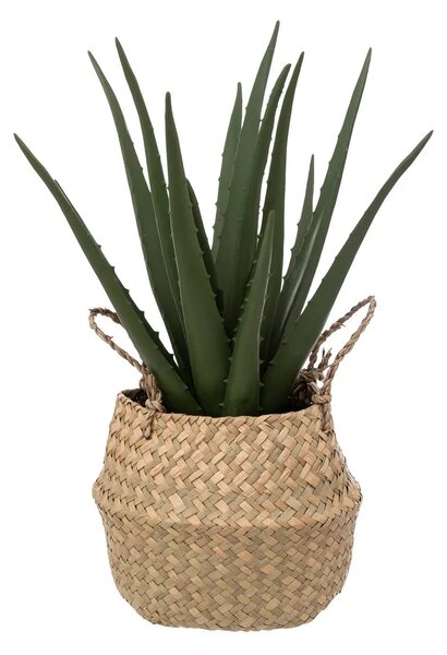 Изкуствено растение atmosphera Aloe Vera, 37cm