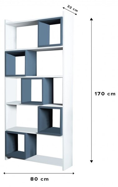Библиотека Box в бяло-синьо