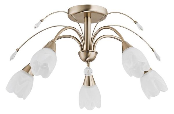 Таванно осветително тяло BASTER 5xE14/10W/230V златисто