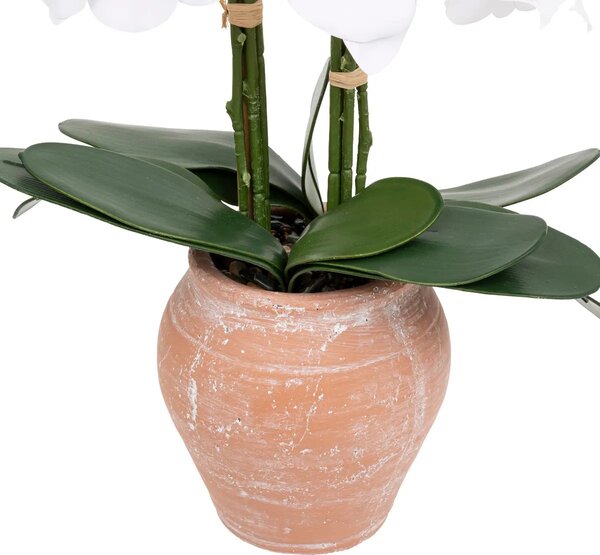 Изкуствено цвете atmosphera Dena Orchid, 65 cm