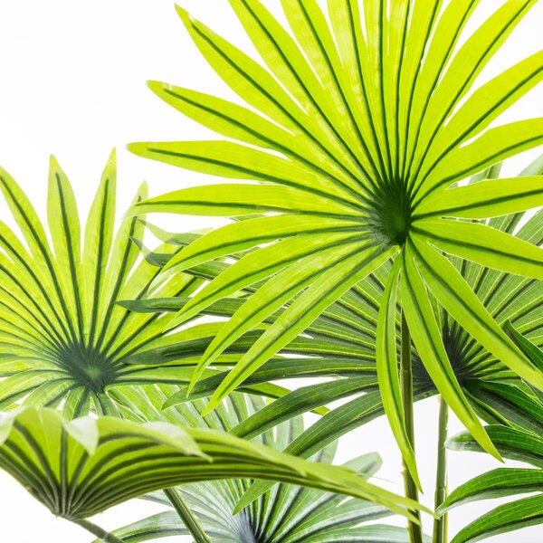 Изкуствено растение atmosphera Palm Tree, 120 cm