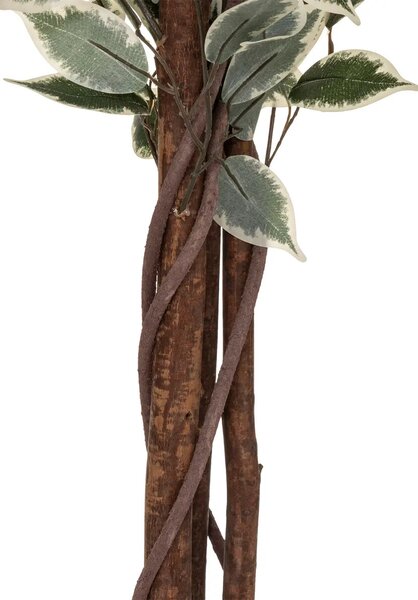 Изкуствено растение atmosphera Fig Tree, 180 cm, Двуцветно