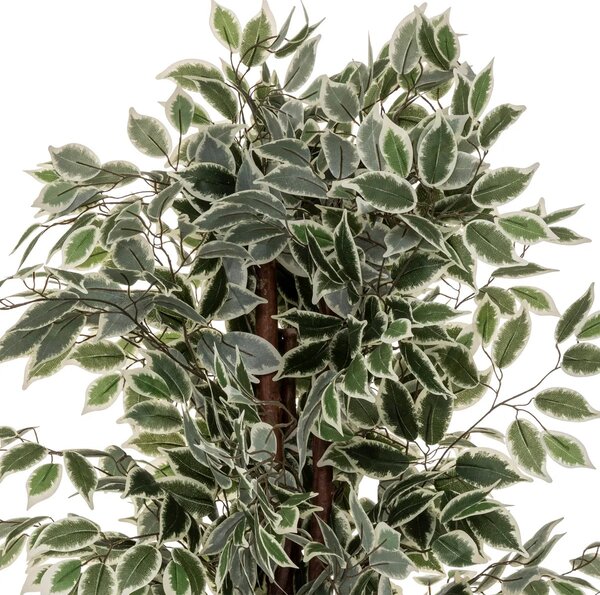 Изкуствено растение atmosphera Fig Tree, 180 cm, Двуцветно