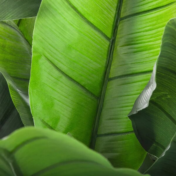 Изкуствено растение atmosphera Banana Tree, 170 cm