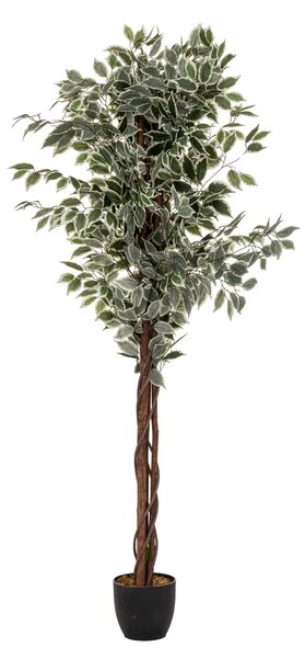 Изкуствено растение atmosphera Fig Tree, 180 cm, Двуцветно