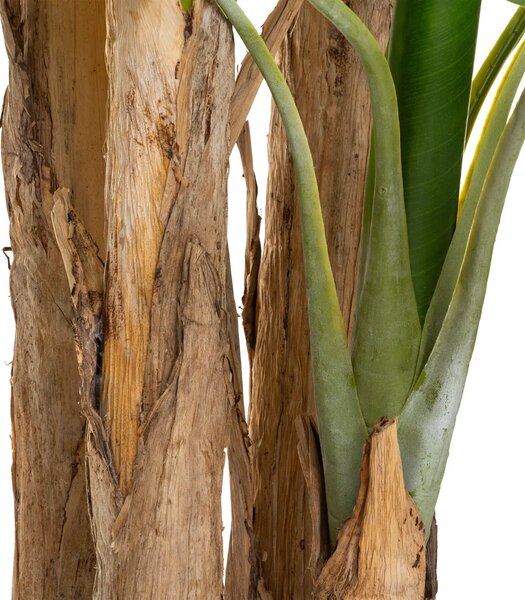 Изкуствено растение atmosphera Banana Tree, 285 cm