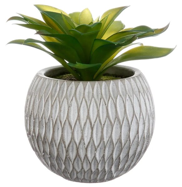 Изкуствено растение atmosphera Succulent, 17 cm, Различни видове