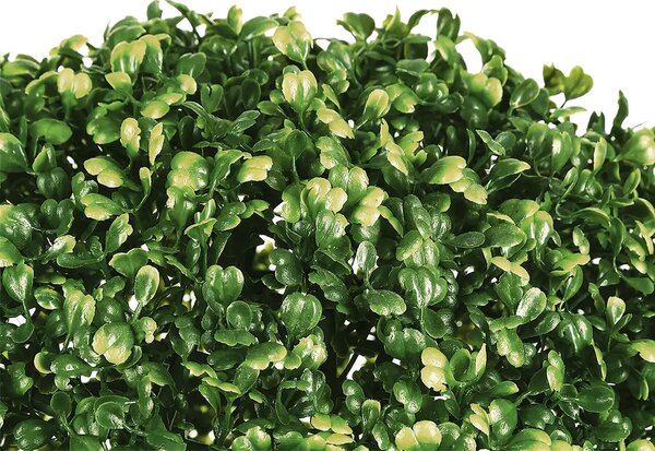 Изкуствено растение atmosphera Boxwood Ball, 28 cm