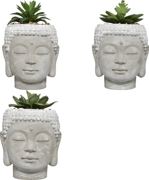 Изкуствено растение atmosphera Buddha, 13.5 cm, Различни видове
