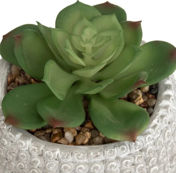 Изкуствено растение atmosphera Buddha, 13.5 cm, Различни видове