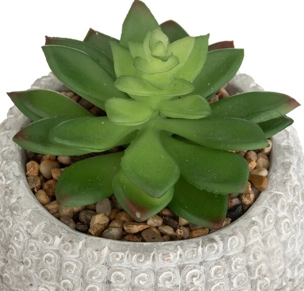 Изкуствено растение atmosphera Buddha, 13.5 cm, Различни видове