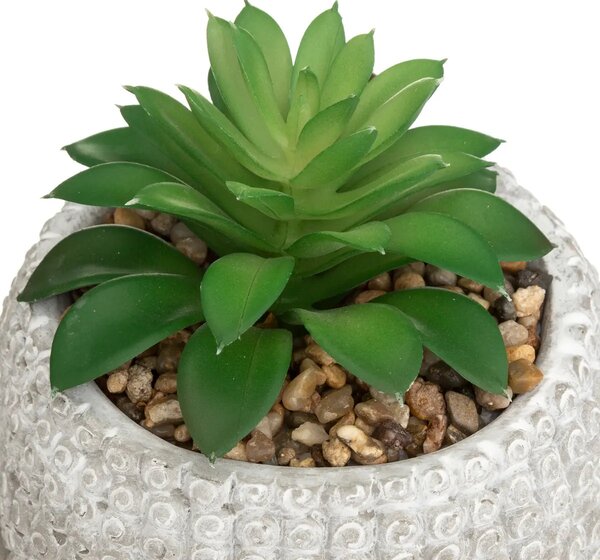 Изкуствено растение atmosphera Buddha, 13.5 cm, Различни видове