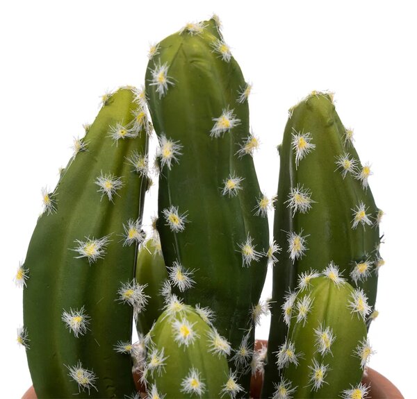 Изкуствено растение atmosphera Cactus Ali, 16.5 cm, Различни видове