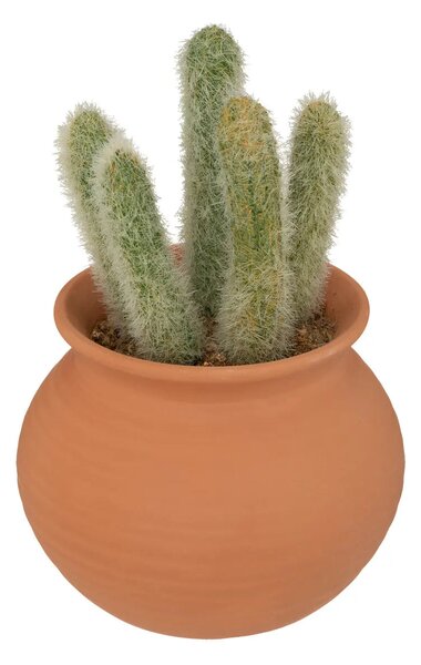 Изкуствено растение atmosphera Cactus Ali, 16.5 cm, Различни видове