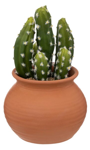 Изкуствено растение atmosphera Cactus Ali, 16.5 cm, Различни видове