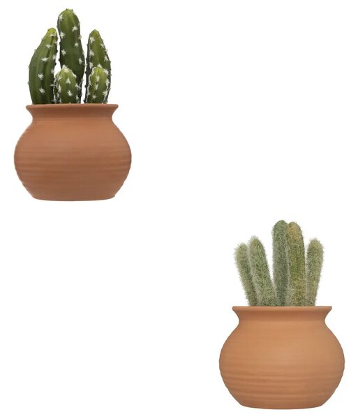Изкуствено растение atmosphera Cactus Ali, 16.5 cm, Различни видове