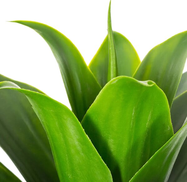 Изкуствено растение atmosphera Aloe Vera, 34 cm