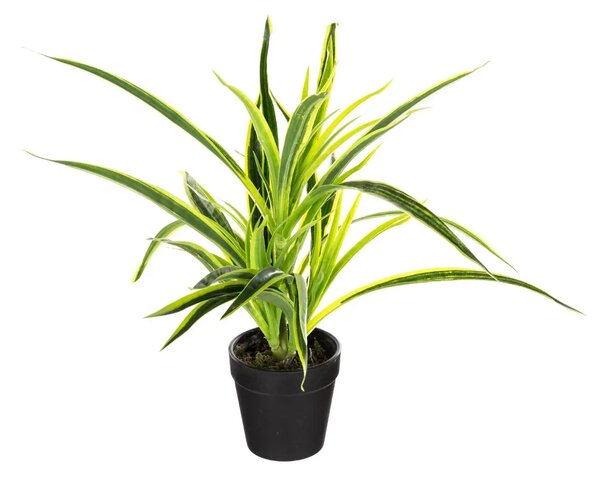 Изкуствено растение atmosphera, 30 cm, Различни видове