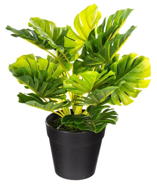 Изкуствено растение atmosphera, 30 cm, Различни видове