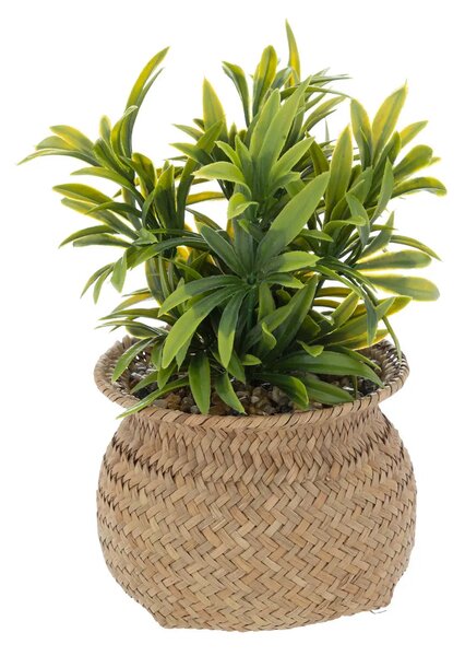 Изкуствено растение atmosphera Jiling, 20 cm