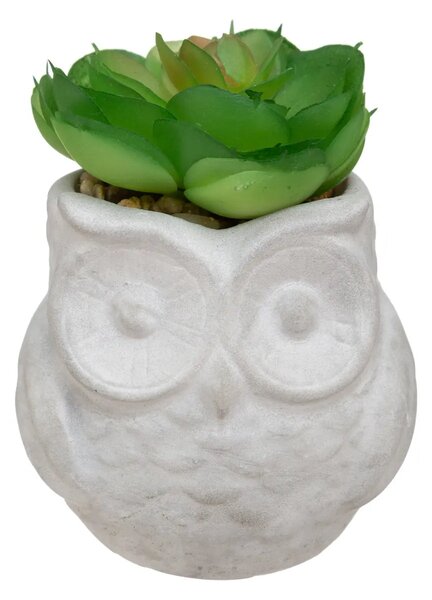 Изкуствено растение atmosphera Succulent, 8 cm, Различни видове